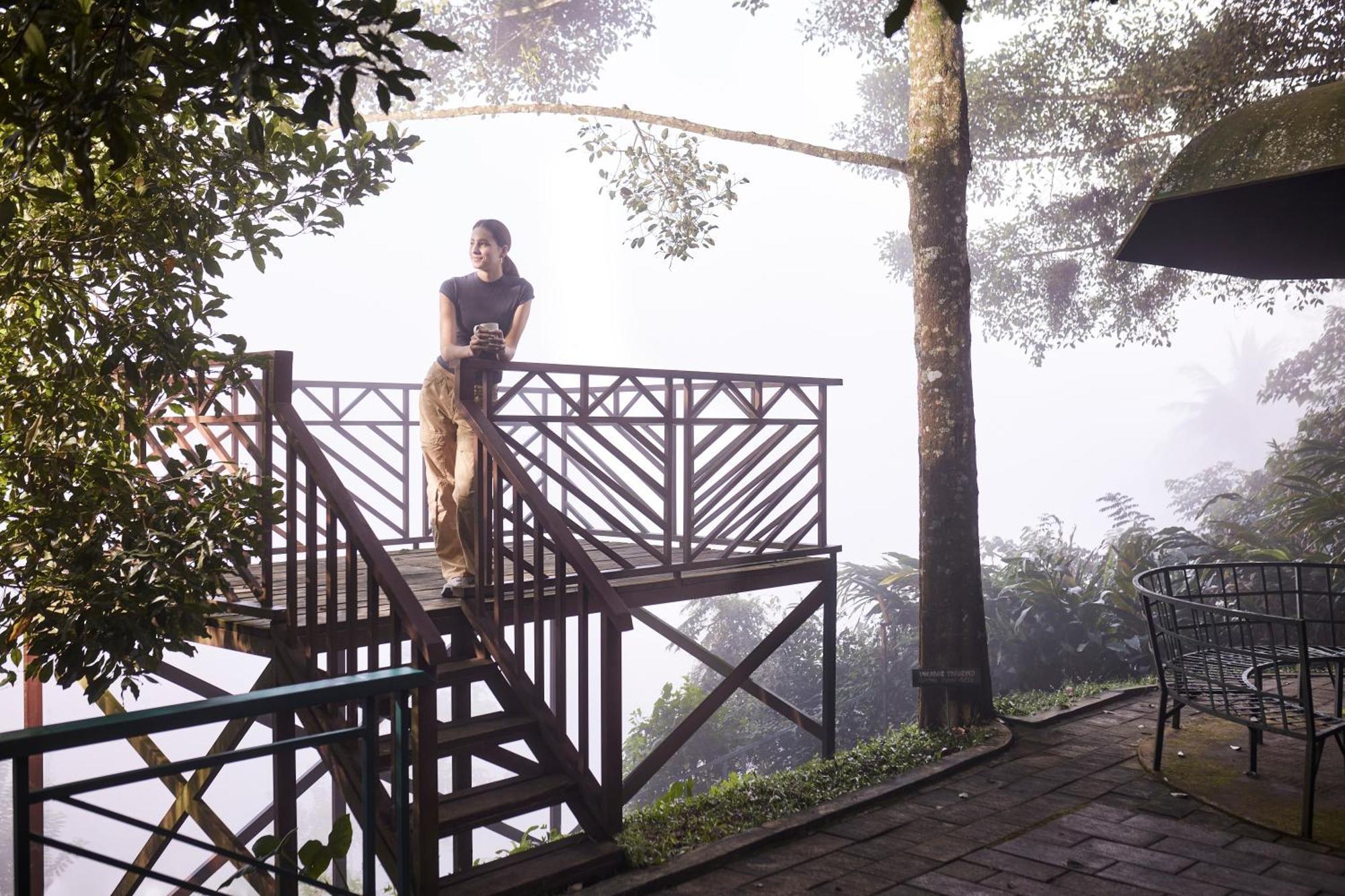 Forest Canopy Thekkady Exterior foto